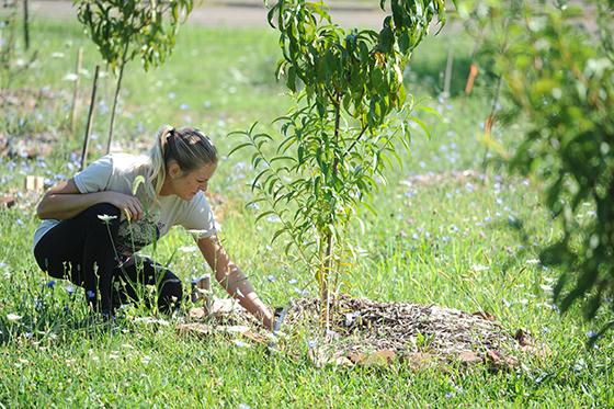 Photo of a Chatham University student working outside on a volunteer day